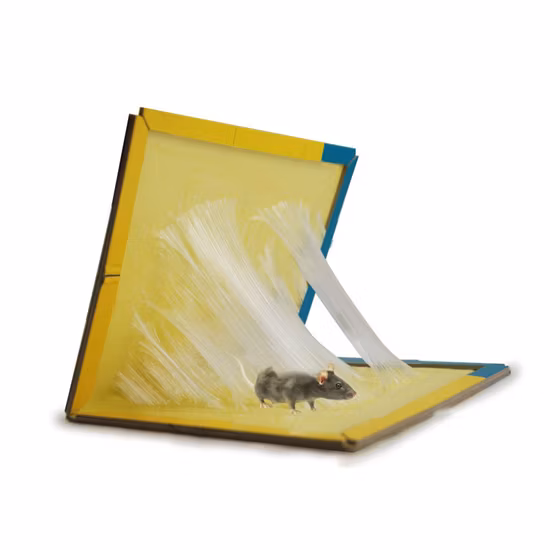 Natural Rubber Polyisobutylene Daily Use Professional Strong Mouse Glue Trap